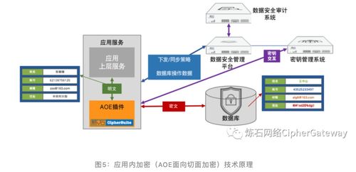 一文读懂十大数据存储加密技术及数据处理和存储服务